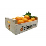 Compre Laranjas online